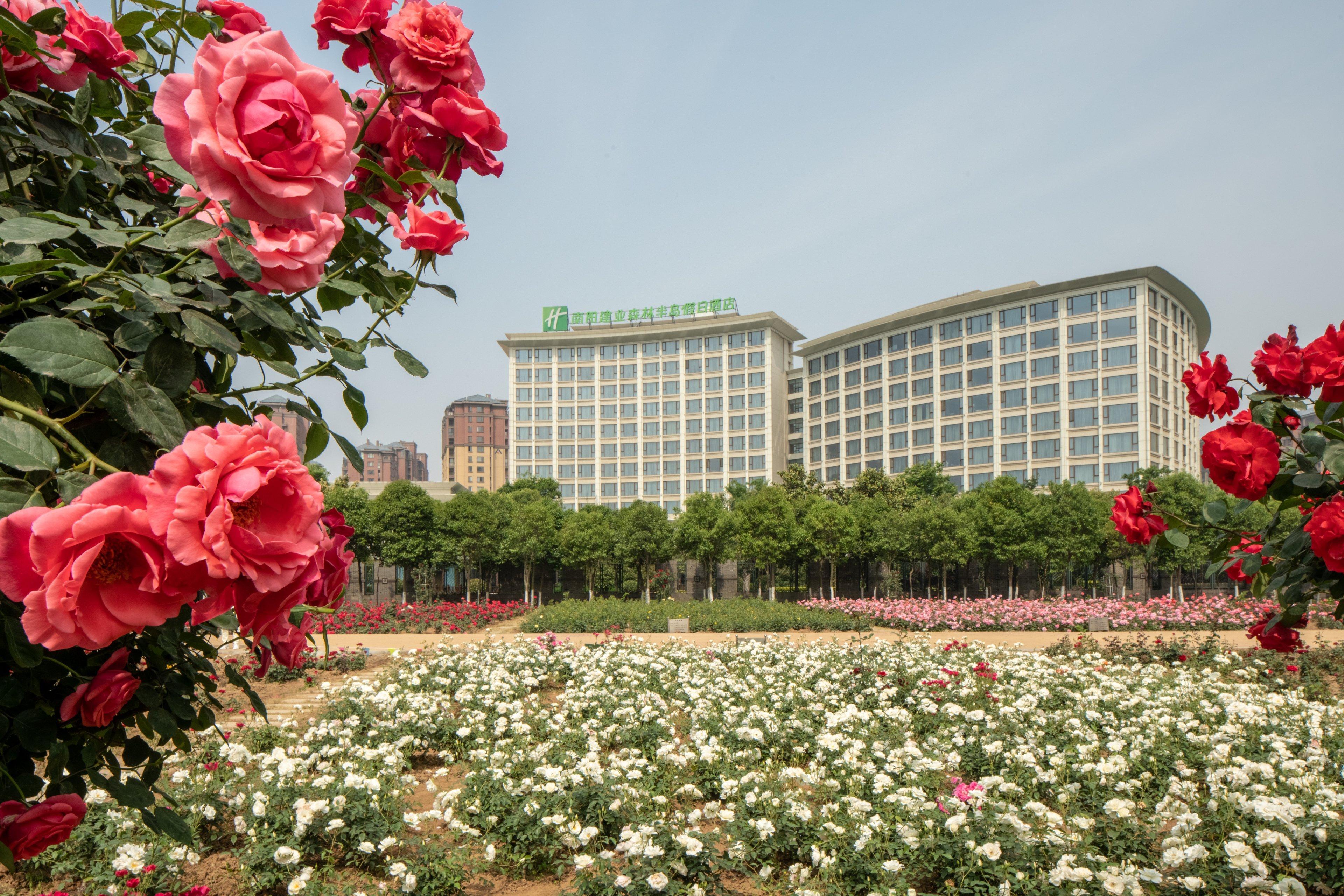 Holiday Inn Nanyang By Ihg Экстерьер фото